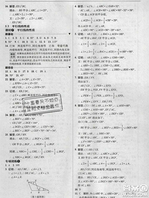 东北师范大学出版社2020春北大绿卡刷题七年级数学下册人教版答案