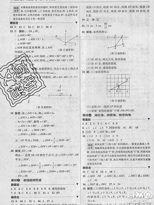 东北师范大学出版社2020春北大绿卡刷题七年级数学下册人教版答案