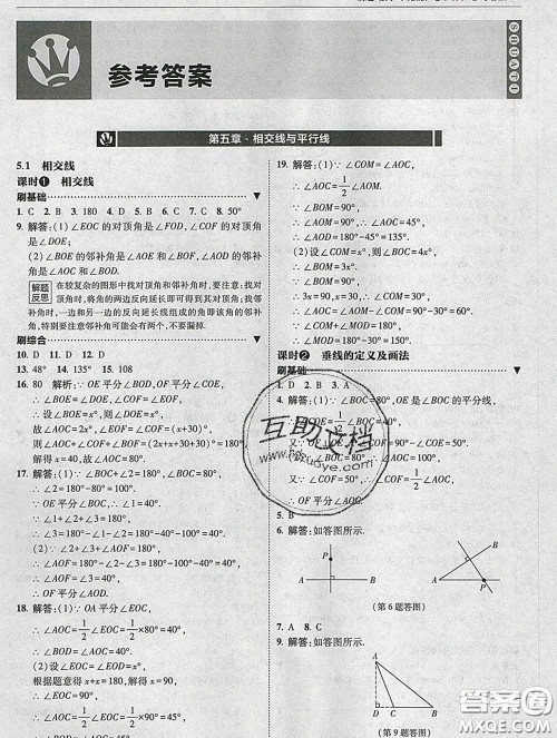 东北师范大学出版社2020春北大绿卡刷题七年级数学下册人教版答案