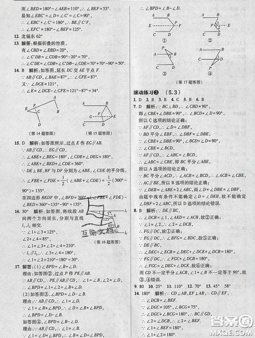 东北师范大学出版社2020春北大绿卡刷题七年级数学下册人教版答案