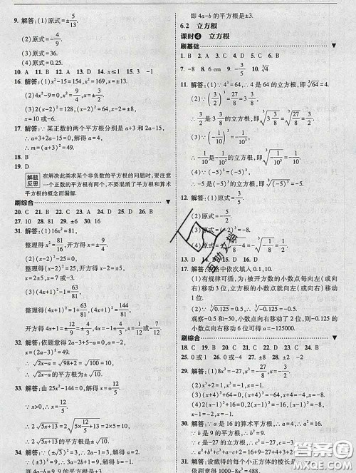 东北师范大学出版社2020春北大绿卡刷题七年级数学下册人教版答案