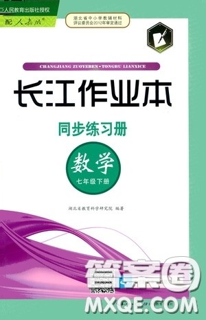 2020年长江作业本同步练习数学七年级下册人教版参考答案