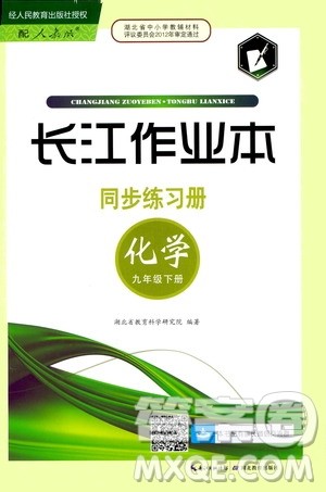 2020年长江作业本同步练习化学九年级下册人教版参考答案