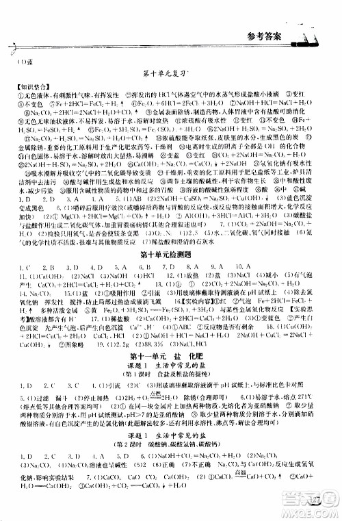 2020年长江作业本同步练习化学九年级下册人教版参考答案