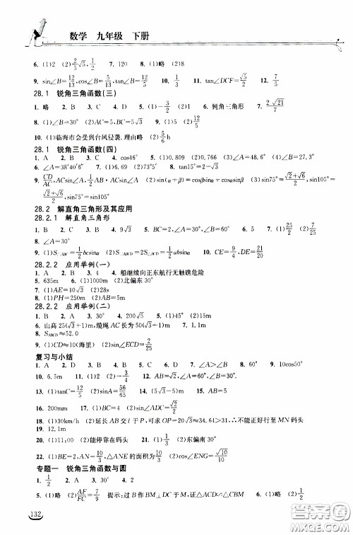 2020年长江作业本同步练习数学九年级下册人教版参考答案