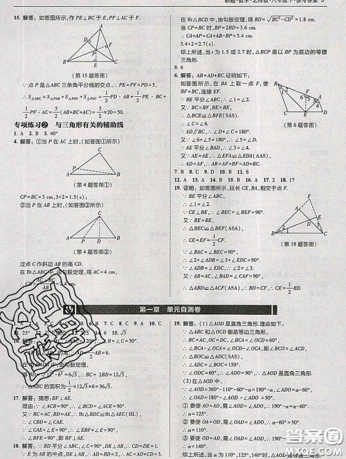 东北师范大学出版社2020春北大绿卡刷题八年级数学下册北师版答案