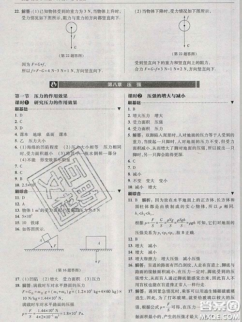东北师范大学出版社2020春北大绿卡刷题八年级物理下册沪科版答案