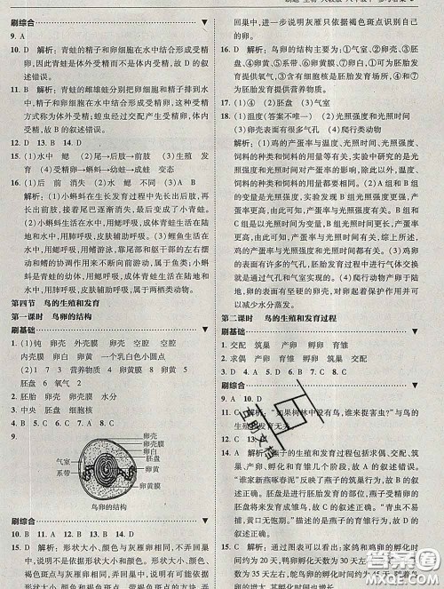 东北师范大学出版社2020春北大绿卡刷题八年级生物下册人教版答案