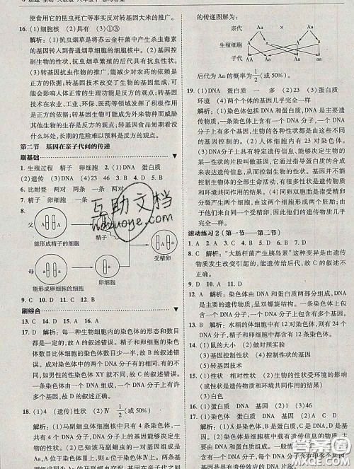 东北师范大学出版社2020春北大绿卡刷题八年级生物下册人教版答案