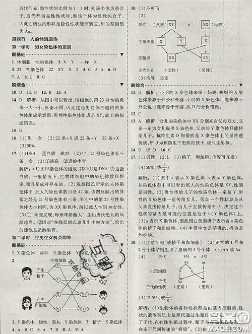 东北师范大学出版社2020春北大绿卡刷题八年级生物下册人教版答案