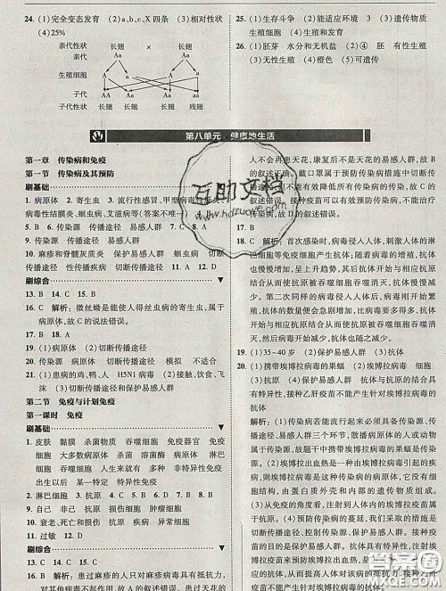 东北师范大学出版社2020春北大绿卡刷题八年级生物下册人教版答案