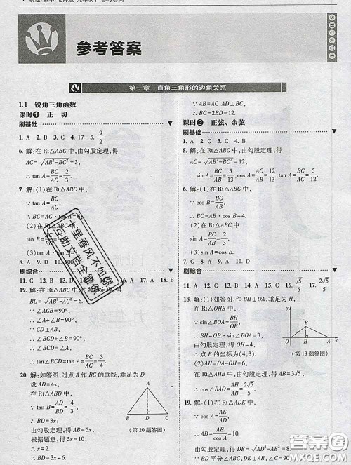东北师范大学出版社2020春北大绿卡刷题九年级数学下册北师版答案