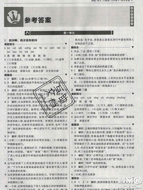 东北师范大学出版社2020春北大绿卡刷题九年级语文下册人教版答案