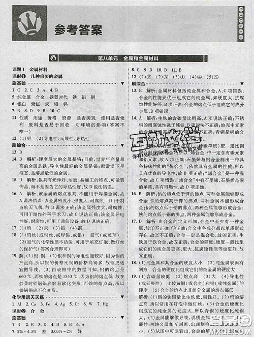 东北师范大学出版社2020春北大绿卡刷题九年级化学下册人教版答案