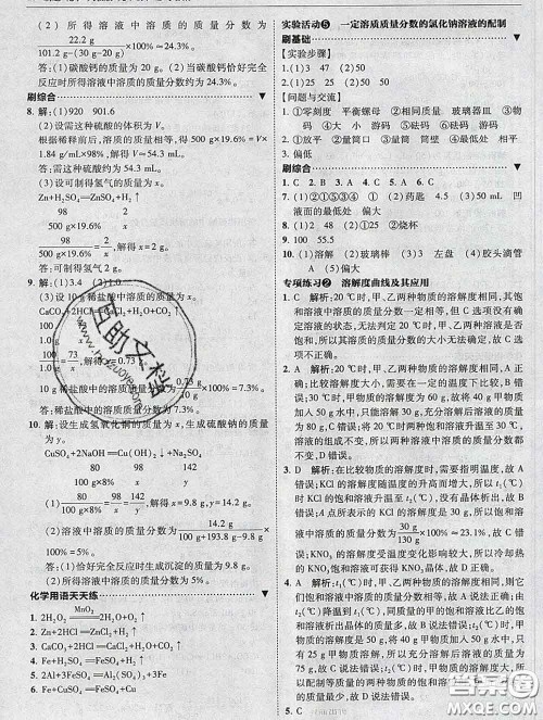 东北师范大学出版社2020春北大绿卡刷题九年级化学下册人教版答案