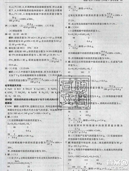 东北师范大学出版社2020春北大绿卡刷题九年级化学下册人教版答案