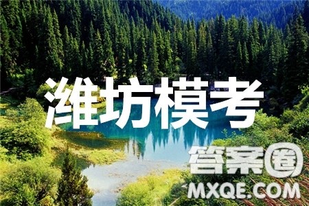 潍坊市2020届高三下学期高考模拟考试数学试题及答案