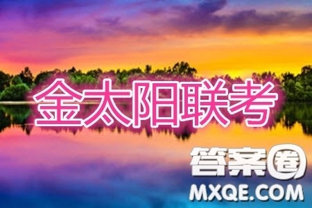 2020年广东金太阳联考高三4月联考文科数学答案 2020年广东金太阳联考高三4月联考文科数学答案