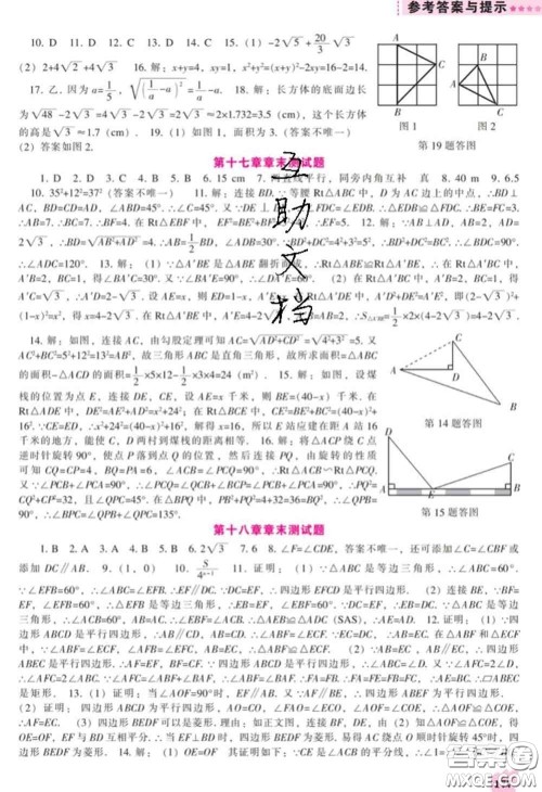 辽海出版社2020新版新课程数学能力培养八年级下册人教版答案