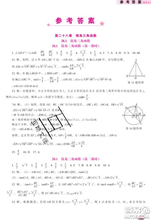 辽海出版社2020新版新课程数学能力培养九年级数学下册人教版答案