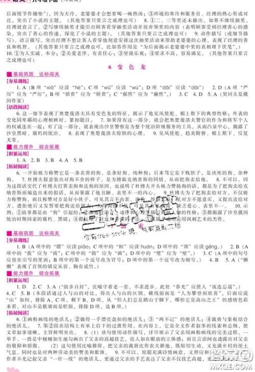 辽海出版社2020新版新课程语文能力培养九年级语文下册人教版答案 辽海出版社2020新版新课程语文能力培养九年级语文下册人教版答案