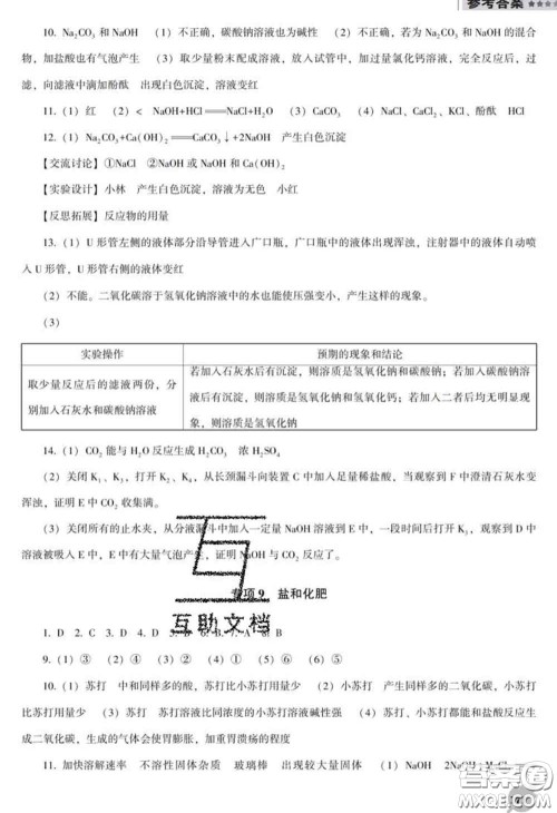2020新版新课程化学能力培养九年级化学下册人教版D版答案