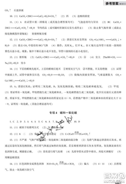 2020新版新课程化学能力培养九年级化学下册人教版D版答案