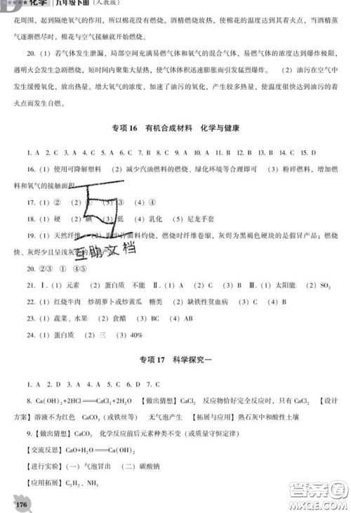 2020新版新课程化学能力培养九年级化学下册人教版D版答案