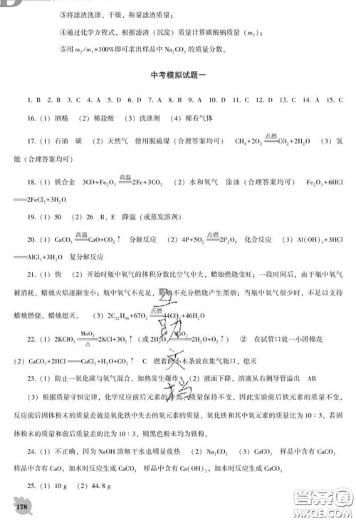 2020新版新课程化学能力培养九年级化学下册人教版D版答案