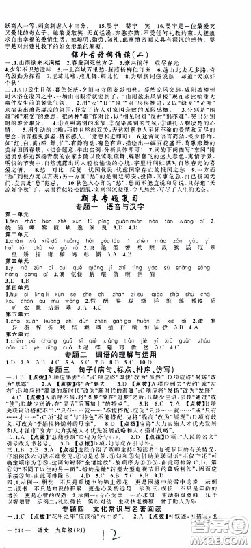 2020年学生课程精巧训练课堂创新学练测语文九年级下RJ人教版参考答案