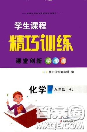 2020年学生课程精巧训练课堂创新学练测化学九年级下RJ人教版参考答案