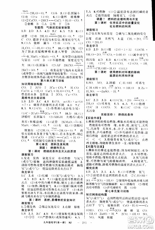 2020年学生课程精巧训练课堂创新学练测化学九年级下RJ人教版参考答案