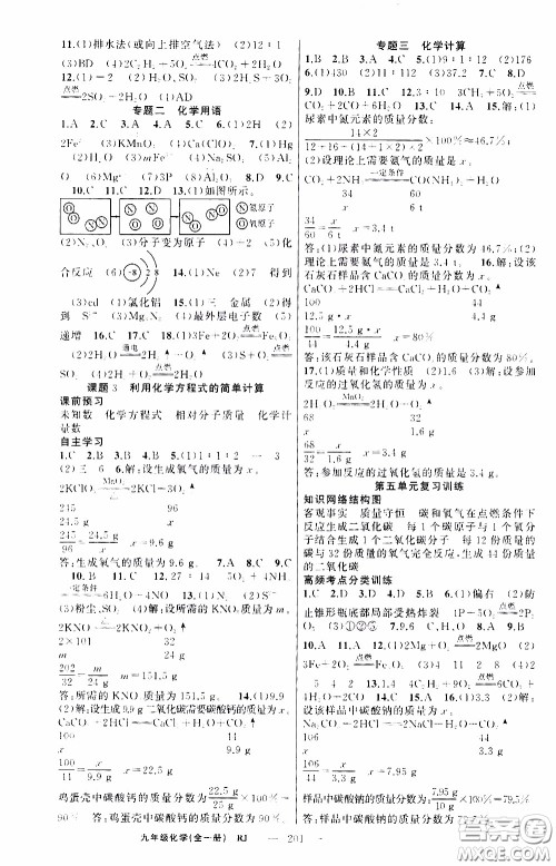 2020年学生课程精巧训练课堂创新学练测化学九年级下RJ人教版参考答案