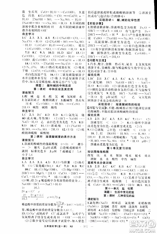 2020年学生课程精巧训练课堂创新学练测化学九年级下RJ人教版参考答案