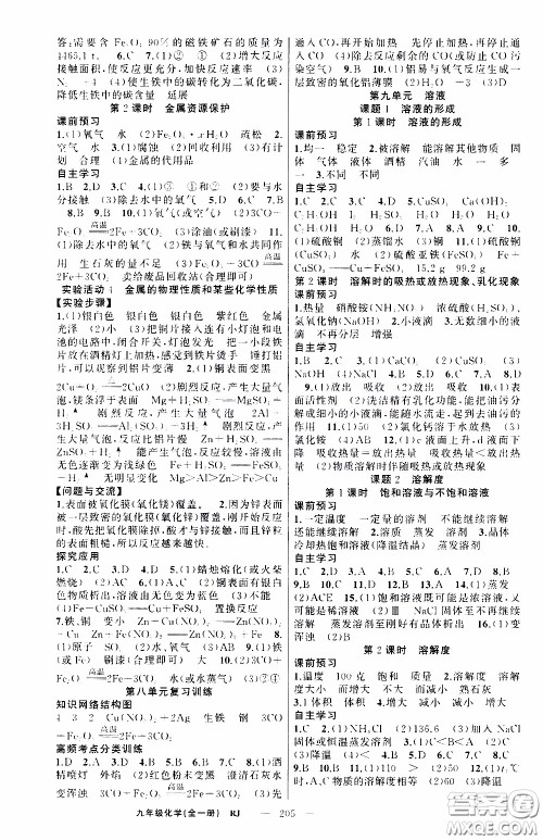 2020年学生课程精巧训练课堂创新学练测化学九年级下RJ人教版参考答案