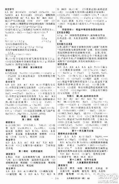 2020年学生课程精巧训练课堂创新学练测化学九年级下RJ人教版参考答案