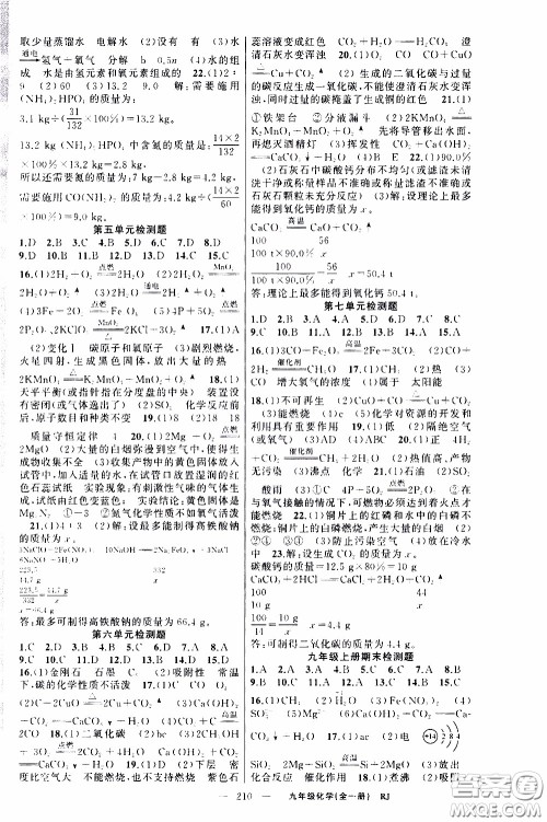 2020年学生课程精巧训练课堂创新学练测化学九年级下RJ人教版参考答案