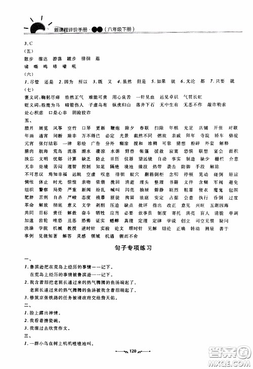 2020年新课程评价手册语文六年级下册参考答案 2020年新课程评价手册语文六年级下册参考答案