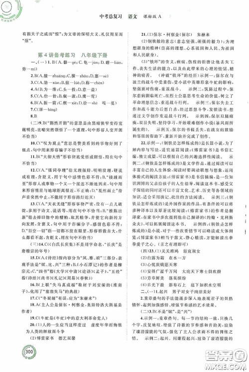 广西教育出版社2020中考先锋中考总复习语文课标版A答案