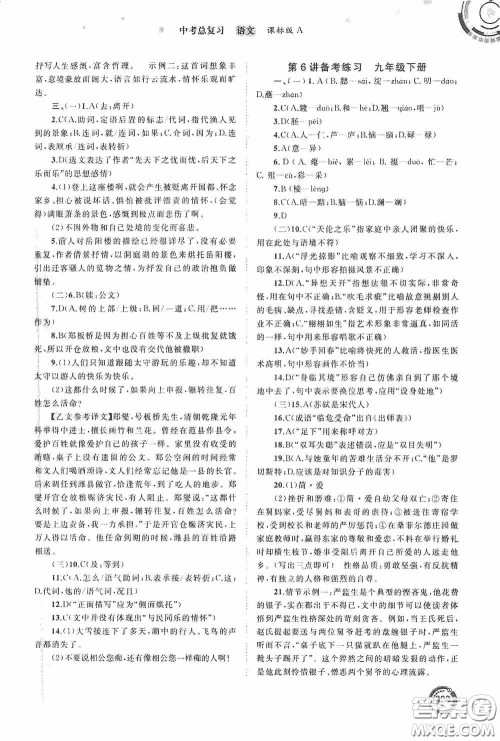 广西教育出版社2020中考先锋中考总复习语文课标版A答案 广西教育出版社2020中考先锋中考总复习语文课标版A答案