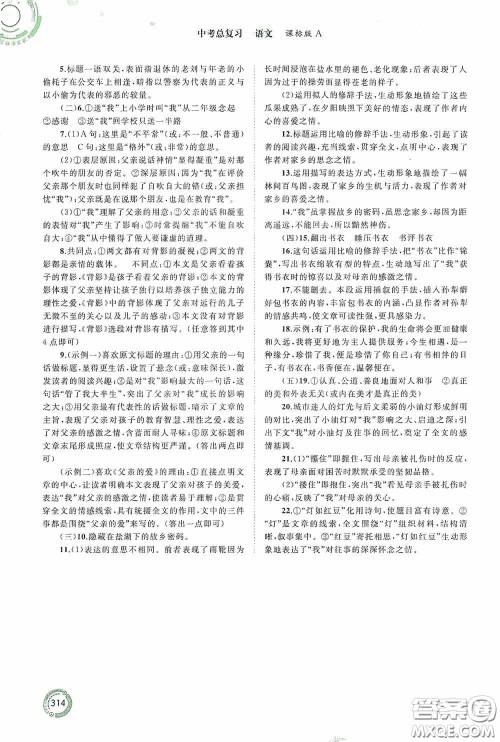 广西教育出版社2020中考先锋中考总复习语文课标版A答案