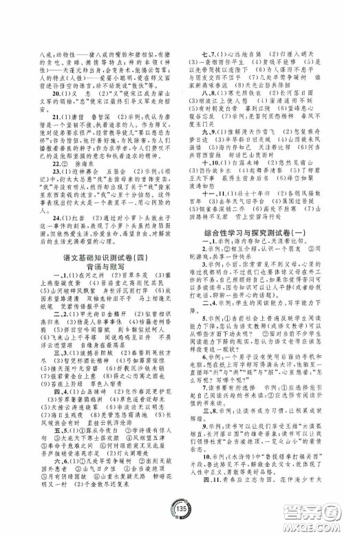 2020中考先锋中考总复习配套测试卷语文课标版A答案