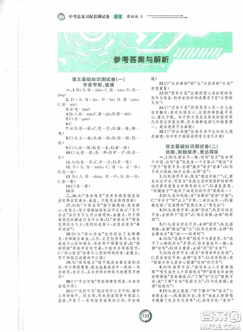 2020中考先锋中考总复习配套测试卷语文课标版A答案