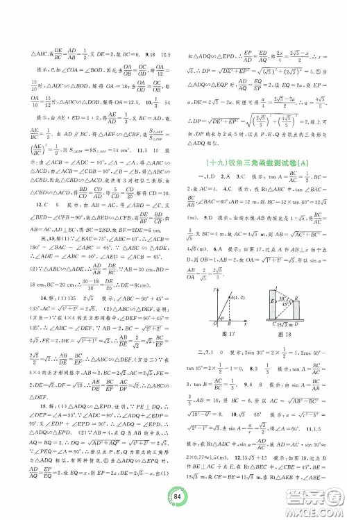 广西教育出版社2020中考先锋中考总复习配套测试卷数学课标A版答案