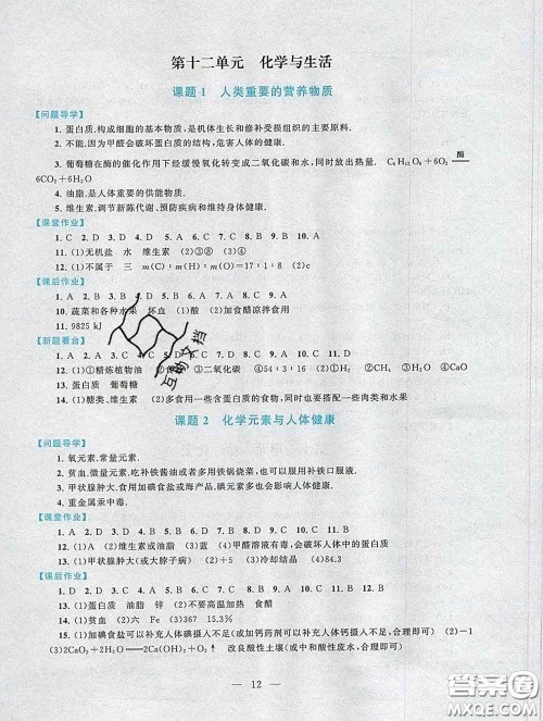 2020新版启东黄冈作业本九年级化学下册人教版答案