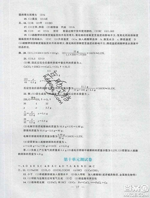 2020新版启东黄冈作业本九年级化学下册人教版答案