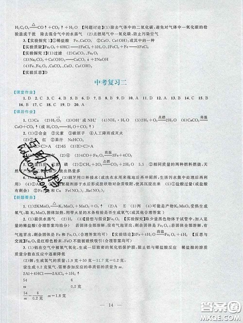 2020新版启东黄冈作业本九年级化学下册人教版答案