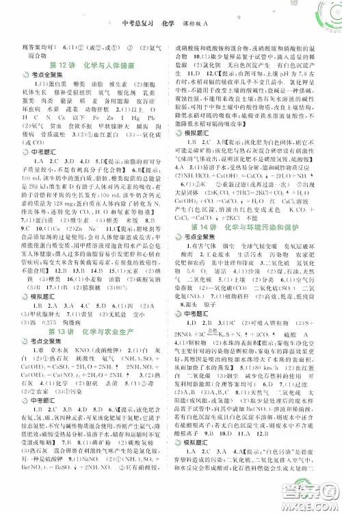 广西教育出版社2020中考先锋中考总复习化学课标版A答案 广西教育出版社2020中考先锋中考总复习化学课标版A答案