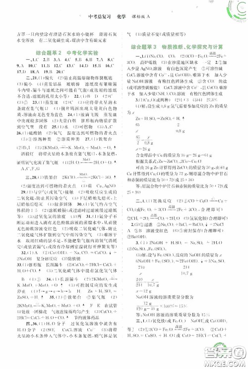 广西教育出版社2020中考先锋中考总复习化学课标版A答案 广西教育出版社2020中考先锋中考总复习化学课标版A答案