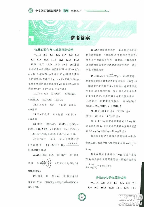 广西教育出版社2020中考先锋中考总复习配套测试卷化学课标版A答案 广西教育出版社2020中考先锋中考总复习配套测试卷化学课标版A答案